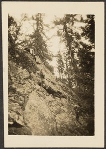  by Louis Fleckenstein