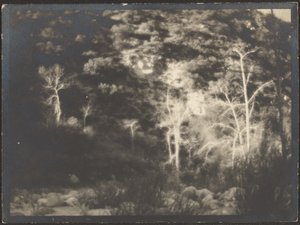  by Louis Fleckenstein