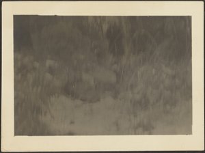  by Louis Fleckenstein