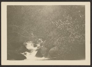  by Louis Fleckenstein