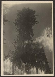  by Louis Fleckenstein