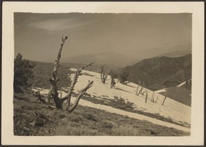  by Louis Fleckenstein