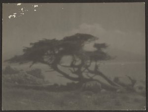  by Louis Fleckenstein