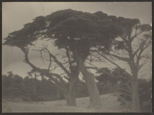  by Louis Fleckenstein