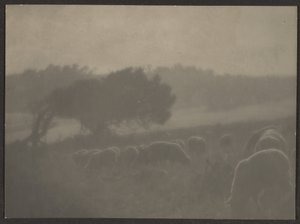 by Louis Fleckenstein