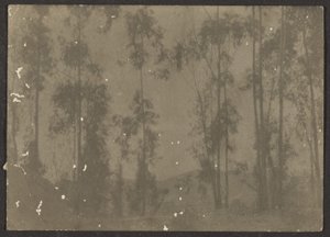  by Louis Fleckenstein