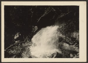  by Louis Fleckenstein