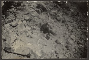  by Louis Fleckenstein