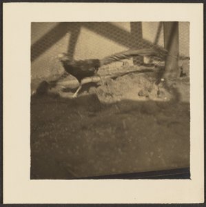  by Louis Fleckenstein