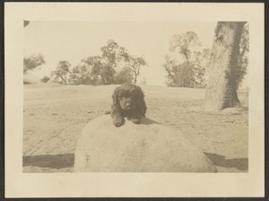  by Louis Fleckenstein