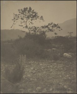 [Rocky Landscape] by Louis Fleckenstein
