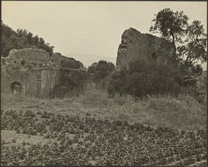  by Louis Fleckenstein