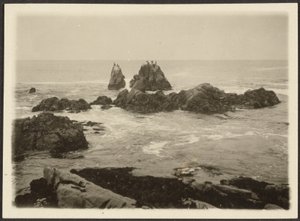  by Louis Fleckenstein