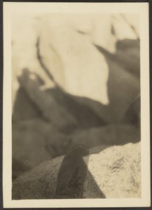  by Louis Fleckenstein