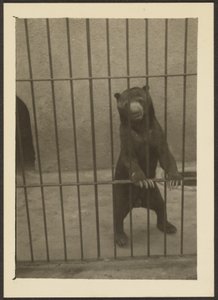 by Louis Fleckenstein