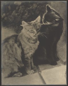  by Louis Fleckenstein