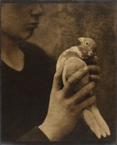  by Louis Fleckenstein