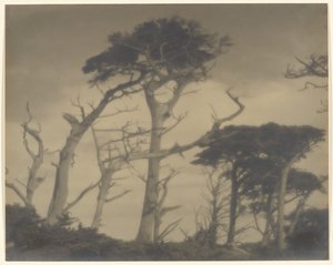  by Louis Fleckenstein