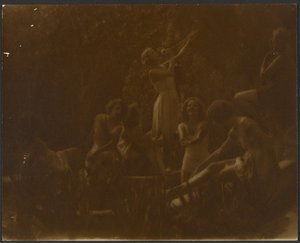 Nilüferler by Louis Fleckenstein