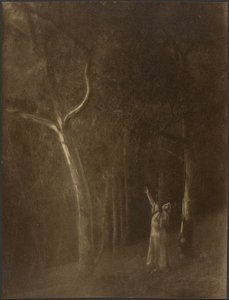  by Louis Fleckenstein