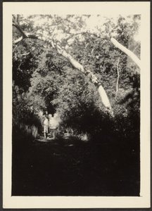  by Louis Fleckenstein