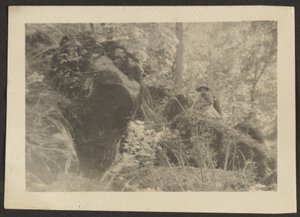 by Louis Fleckenstein