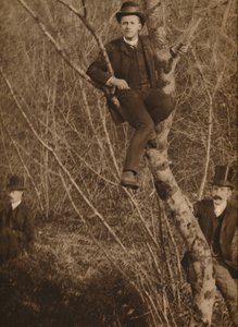 Adam bir ağaca oturdu, 1937
