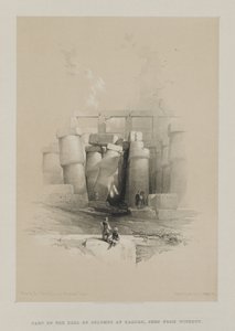 Mısır ve Nubia, Cilt II: Karnak, Thebes