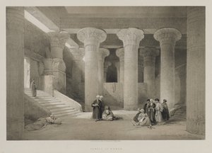 Mısır ve Nubia, Cilt I: Esneh Tapınağı by Louis Haghe