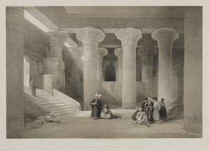 Mısır ve Nubia, Cilt I: Esneh Tapınağı, 1846. by Louis Haghe