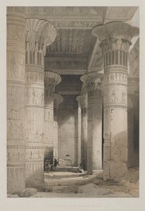 Mısır ve Nubia, Cilt I: Tapınağın Büyük Portikosunun Altından Görünüm, Philae by Louis Haghe