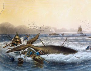 Güney Denizlerinde Balina Avı, Louis Lebreton