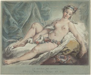 Yükselen Venüs'ün Uyanışı, 1769
