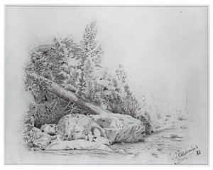 Düşmüş Ağaç, Keene Vadisi, 25 Temmuz 1883. by Louis Michel Eilshemius