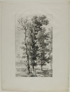 Ağaçların Çalışması by Louis Pierre Baltard