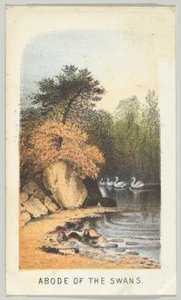 Kuğuların Evi, diziden, Manzaralar Central Park, New York, Bölüm 2, 1864.