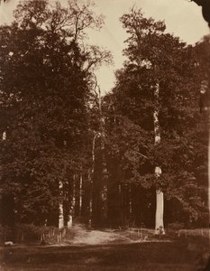 Saint-Cloud