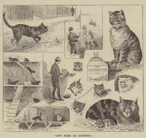 ಬ್ಯಾಟರ್‌ಸೀ ಟರ್ಕಿಯಲ್ಲಿ ಬೆಕ್ಕಿನ ಮನೆ by Louis Wain