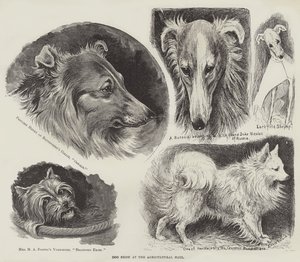 Dog Show at the Agricultural Hall  by Louis Wain