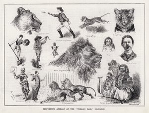 Islington, "Dünya Fuarı"nda Hayvan Gösterisi (gravür) by Louis Wain