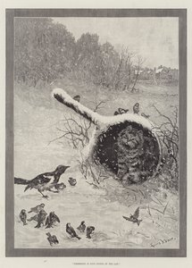 Mülkiyet Hukukun Dokuz Maddesidir by Louis Wain