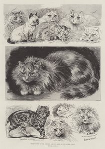 Crystal Palace'daki Ulusal Kedi Kulübü Gösterisinde Ödül Kazananlar by Louis Wain