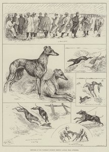 Liverpool yakınlarındaki Waterloo Coursing Meeting, Altcar
