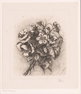 Haşhaş ve anemon ile çiçek natürmort by Louise Elsen