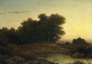 Gün Batımında Ormanda Görüntüle by Louwrens Hanedoes