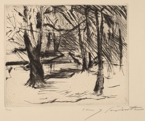 Güneşli Ağaçlar Güneşte Ağaçlar, 1920-1921. by Lovis Corinth