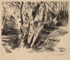Tiergarten