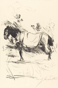 Reitpferd (At Binme) by Lovis Corinth