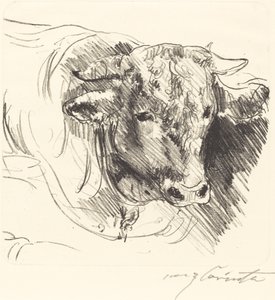 Stierkopf Bir Dümenin Başı, 1912. by Lovis Corinth