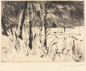 Hayvanat Bahçesi by Lovis Corinth